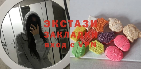 шишки Аркадак