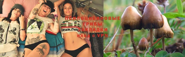 MESCALINE Новокубанск